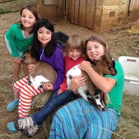 Bed & Breakfast Lo Petit Cretsou 3*